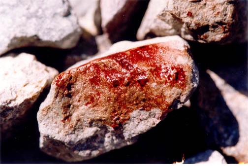una foto di pietre macchiate del Prezioso Sangue